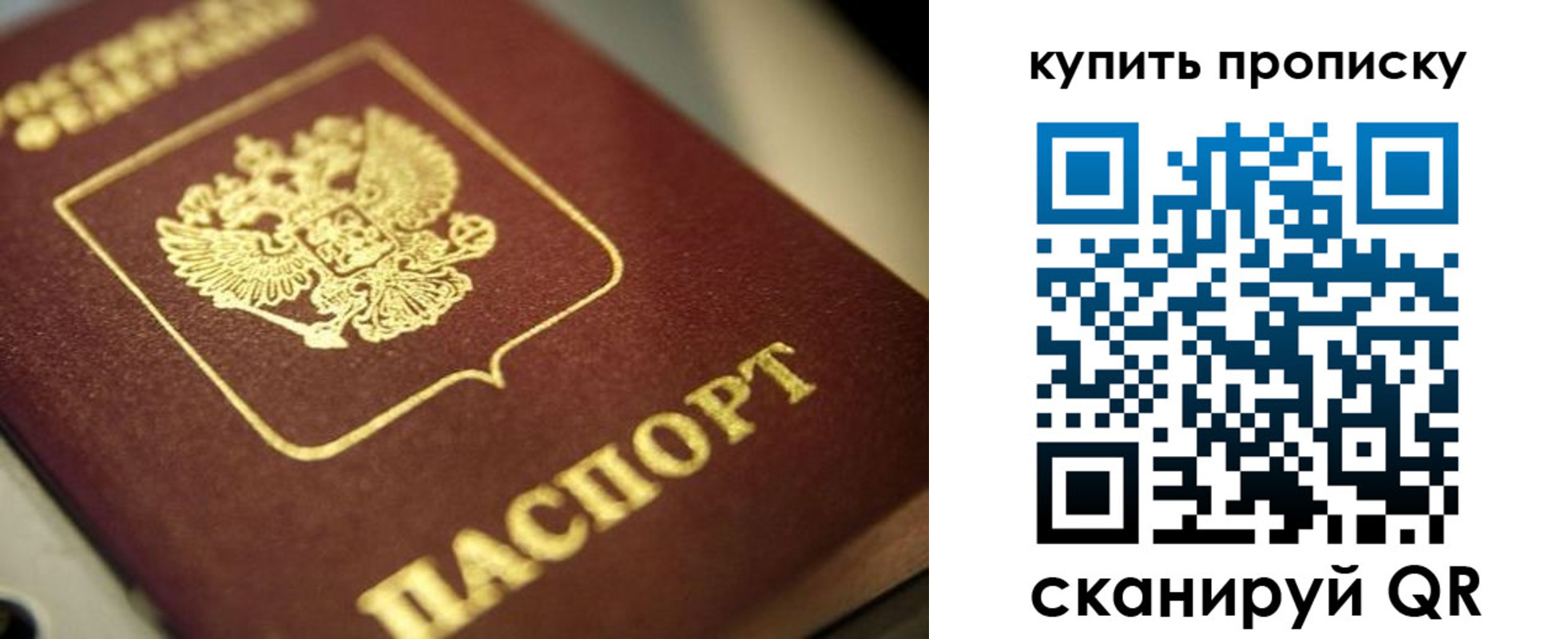 прописка поиск в Нерехте
